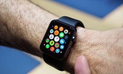 苹果要求部分手表APP在2月中旬就绪